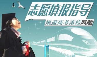 娱乐吃瓜君全球高考,揭秘娱乐界的“吃瓜”盛宴